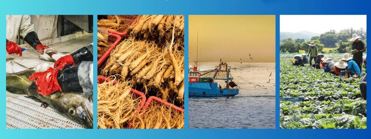 Xuất Khẩu Lao Động- DU HỌC - Việc làm việt phát - 2 4