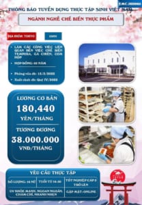 Xuất Khẩu Lao Động- DU HỌC - Việc làm việt phát - 274733992 3107704852882755 2222639898913417187 n