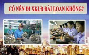 Có nên đi xuất khẩu Đài Loan không?