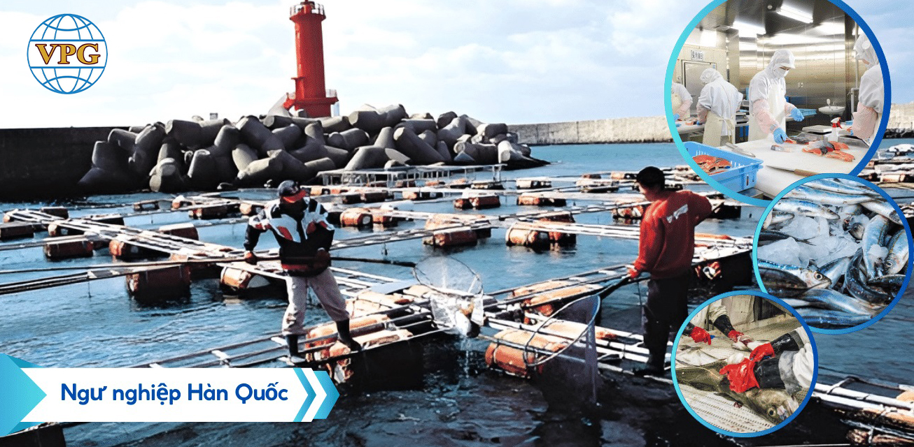 Xuất Khẩu Lao Động- DU HỌC - Việc làm việt phát - 4 1