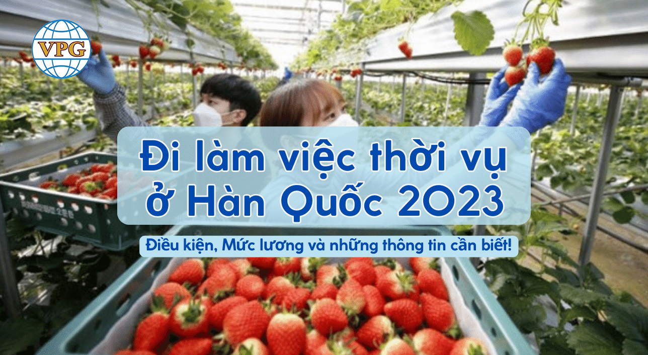 Xuất Khẩu Lao Động- DU HỌC - Việc làm việt phát - Anh bai viet website