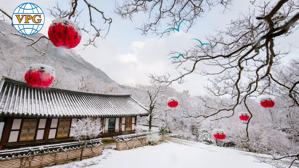 Xuất Khẩu Lao Động- DU HỌC - Việc làm việt phát - Nen di du hoc Han Quoc hay Nhat Ban 1024x576 1