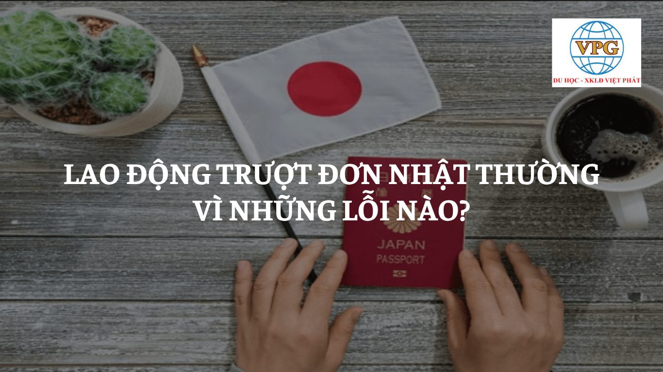 Lao Động Trượt Đơn Nhật Thường Vì Những Lỗi Nào?