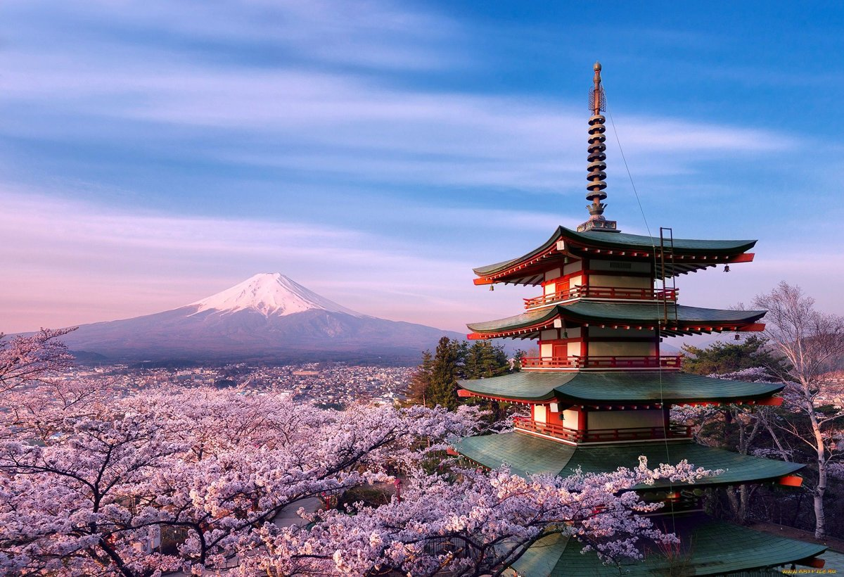 Du học Nhật Bản 2023: Cơ hội tuyệt vời để khám phá văn hóa độc đáo và đào tạo chất lượng cao