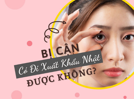 Xuất Khẩu Lao Động- DU HỌC - Việc làm việt phát - bi can co di xkld nhat duoc khong 673daf0a323d5