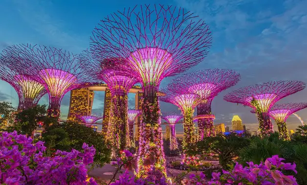 Gardens by the Bay, một trong những điểm du lịch nổi tiếng nhất của Singapore.