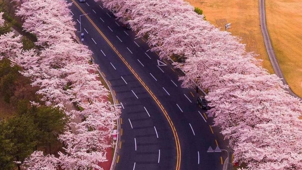 Xuất Khẩu Lao Động- DU HỌC - Việc làm việt phát - han quoc 2023 1024x576 1