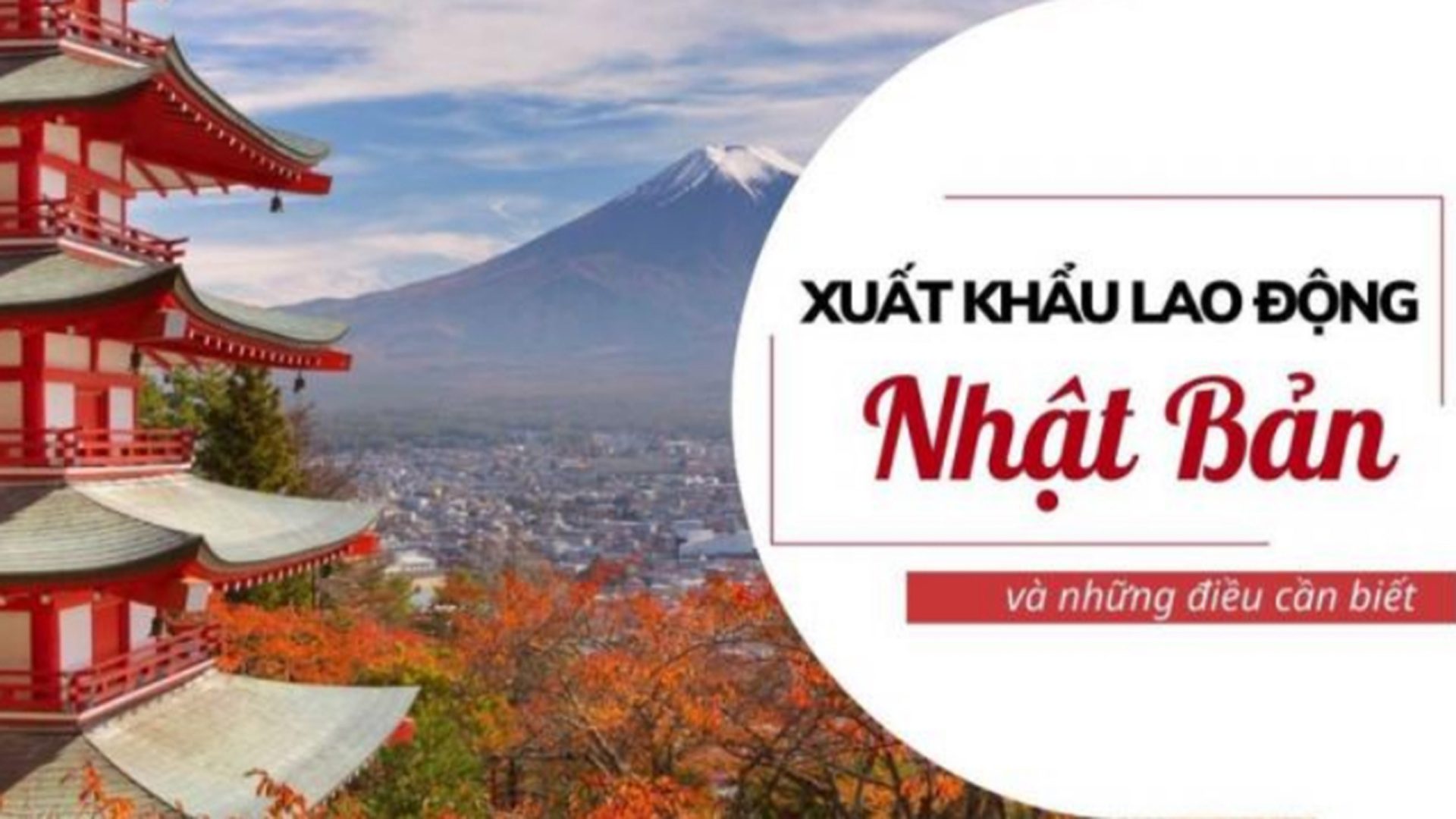 Xuất Khẩu Lao Động- DU HỌC - Việc làm việt phát - 🔥 Có Nên Đi Xuất Khẩu Lao Động? Lời Khuyên Từ Chuyên Gia 1 Xuất khẩu lao động Nhật Bản