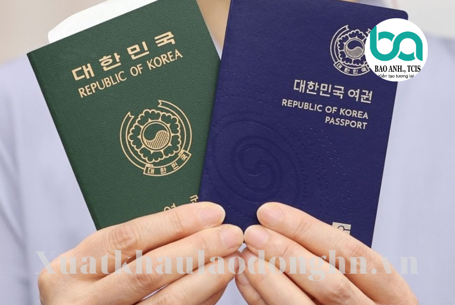 Visa E7 Hàn Quốc Cơ hội mới cho người nước ngoài